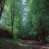 Redwoods, Dunmurry, Belfast 